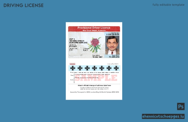 Australien, New South Wales: Beispiel für einen vorläufigen Führerschein